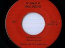 Ronnie & The Ramblers 