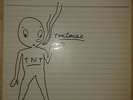 TORTOISE TNT Double LP City Slang Sub Pop Pavement Sonic Youth Nirvana The Shins