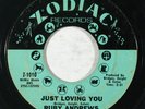 Northern Soul 45 RUBY ANDREWS Just Loving You/The Love I Need on Zodiac