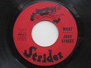 JUDY STREET What You Turn Me On Strider Northern Soul 45 HEAR