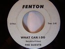Quests What Can I Do / Shadows In The Night 1967 Fenton Michigan Garage Rock 45