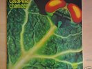 CATAPILLA   CHANGES   GERMAN VERTIGO SWIRL PRESS Germany vinyl NM(-) LP