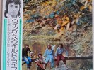 PAUL McCARTNEY–BEATLES-WILD LIFE-LP-MINT JAPAN VINYL-UK MATRIX-OBI-INNER