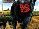 NEW Blink 182 Dude Ranch Clear Splatter Vinyl LP SEALED - IN STOCK