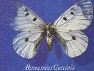 FRANCESCO GUCCINI LP ORIGINALE PRIMA STAMPA 1993 PARNASSIUS GUCCINII