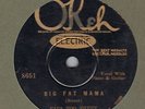 PRE WAR GUITAR BLUES  PAPA TOO SWEET  BIG FAT MAMA OKEH 8651 RARE HEAR