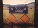 SLO Grown Volume 1 12