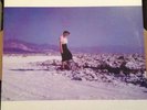 PINBACK Blue Screen Life LP-1st Press/Clear EMO get up kids Three Mile Pilot