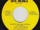 70s Soul 45 - Tony Troutman - What's The Use - Jerri - mp3 - rare