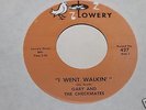 Gary And The Checkmates I Went Walkin b/w Just For 45 Lowery Records 427 *RARE*