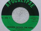 The Apocalypse Summer Brings The Rain Rare Private Xian Folk Psych Rare