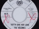 Northern Soul 45 VOLUMES Gotta Give Her Love AMERICAN ARTS HEAR