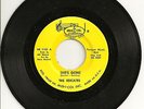 The Edicates - She's Gone / Worried Mind - Garage Rock 45 Record - MUSICOL