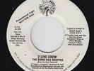 Rap 45 - 2-Live Crew & Trouble Funk - Bomb Has Dropped - Luke Skyywalker - mp3
