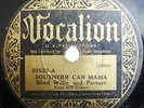 Blind Willie and Partner 78 RPM on Vocalion 1933 (Pre-War Blues) Hear it