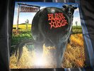 BLINK-182 Dude Ranch 180 gram black vinyl record 3rd Press LTD 500 green day