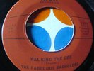 SUPER RARE COOL 1966 FUZZ GARAGE RUMBLE   NOT LIKE SHE - FAB BACHELORS GARAGE 45