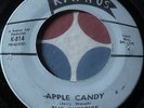 G45 RARE SOUGHT TOP '66 GARAGE PUNK GLORY THE SKEPTICS   APPLE CANDY = ATTITUDE