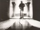 NEIL YOUNG-LP- LE NOISE- 2010- PRÄGECOvER- MINT