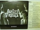 WHITE NOISE Different LP rare private hard rock proto-metal AZ Slayer guitarist