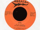 W. RAY JOHNSON Girl on Harace Indiana Modern Soul 45 Hear