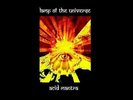 Lamp of the Universe - acid mantra  ( ltd.edition  442/500 - black- LP