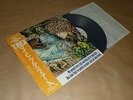 T.REX - MY PEOPLE WERE FAIR AND HAD SKY IN THEIR HAIR / Japan LP / OBI / 1983