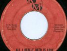 REASONS WHY All I Really Need Is Love RARE CHICAGO GARAGE FUZZ BREAKS 45 on KM