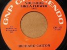 Richard Caiton 45 You Look Like A Flower / Listen To The Drums 7