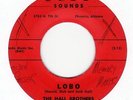 Arizona Garage Instro Rocker by THE HALL BROTHERS 