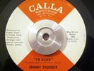 Psych/Funk 45 Johnny Thunder - I'm Alive/Verbal Expression Of TV CALLA NM Fuzz