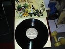 Magna Carta  Seasons Vertigo swirl promo copy