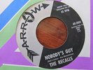 RECALLS Nobody's Guy Reesie Arrow original
