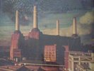 Pink Floyd - Animals