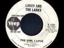NORTHERN SOUL 45 LARRY AND THE LARKS THE GIRL I LOVE VEEP PROMO HEAR RARE