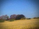 Sun Kil Moon Benji LP On Black Vinyl Record x/900 Mark Kozelek Red House Painter