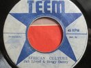 * JAH LLOYD & BINGY BUNNY African Culture ROOTS REGGAE WICKED DUB Teem 45 Hear