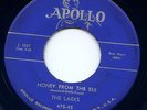 The Larks RARE Doo Wop 45 APOLLO 475 Honey From The Bee No Mama No HEAR IT