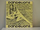 Rare Orig Tres & Kitsy Dandelions Children Of The Sunshine Psych Folk LP Record