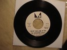 THE ENCHANTED FOREST 
