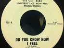 Opus IIII - Do You Know How I Feel MONTANA GARAGE ROCK FOLK RARE OBSCURE 4 HEAR