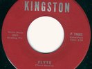HEAR Flowerz-Flyte killer 1968 Reading PA punkadelic masterpiece with fuzz MINT
