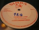 Dennis Brown Promised Land Rare Killer Digi 12