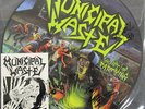MUNICIPAL WASTE - The Art Of Partying  RARE hardcore punk SIGNED pic disc 12