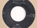 FLEET & FREDDY : Pad  (Protone) Great Raw Inst Sleaze Tittyshaker Surf 45 LISTEN