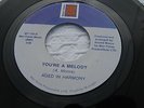 AGED IN HARMONY YOU'RE A MELODY  Rare Detroit Soul MOR TONES 103 (MINT-) 45