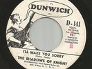 GARAGE FUZZ- SHADOWS OF KNIGHT-- I'LL MAKE YOU SORRY --HEAR -1966 PROMO DUNWICH