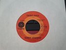 TERRY KNIGHT, Grand Funk, Beatles - Saint Paul - Promo 45 RARE FIND