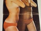 Dan Hill Sounds Electronic LP Gatefold 1970 South Africa Cheesecake Sexy Cover