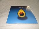 Pearl Jam Self Titled Vinyl Record - Original Release